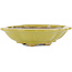 Vaso bonsai Mokko giallo di Kohshunosai - 175 x 145 x 40 mm