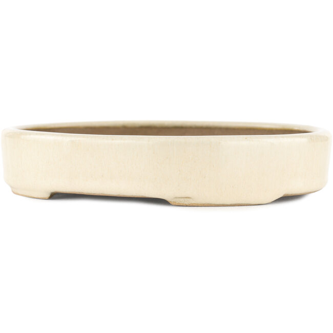 Vaso bonsai ovale bianco di Kohshunosai - 170 x 140 x 30 mm