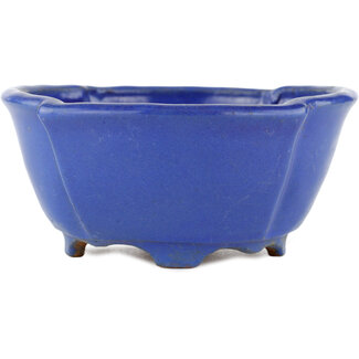  Shuuhou (Hidemi Kataoka) 170 mm  blue bonsai pot by Shuhou, Tokoname, Japan