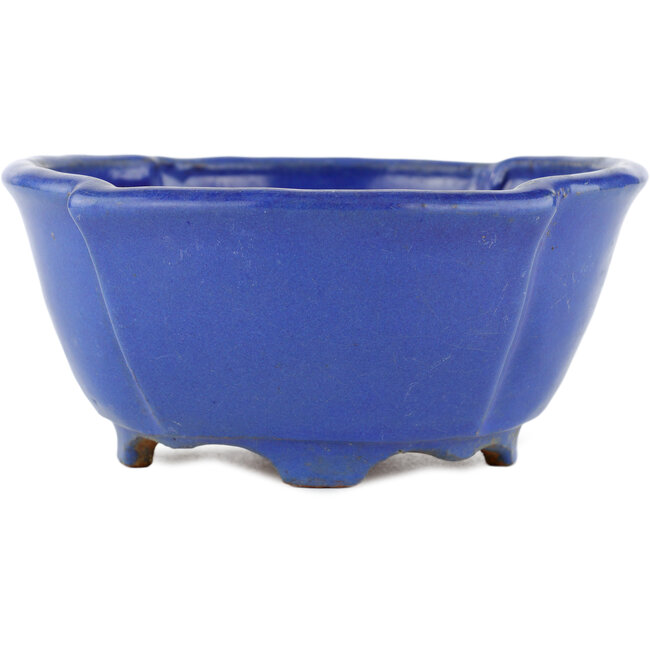 Oval blue bonsai pot by Shuhou - 170 x 170 x 80 mm