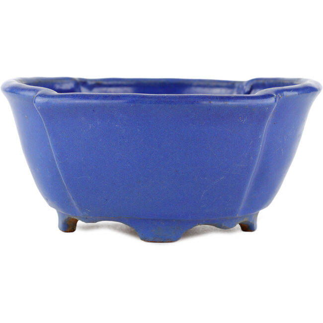 Pot à bonsaï ovale bleu par Shuhou - 170 x 170 x 80 mm