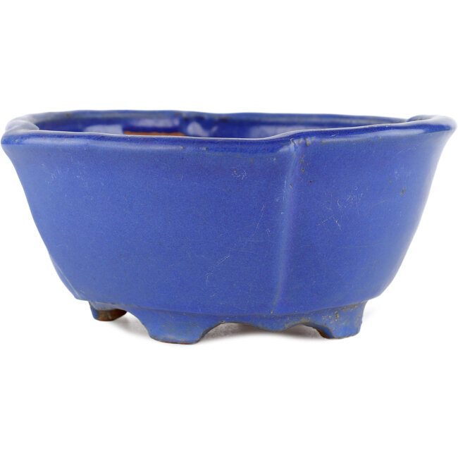 Vaso bonsai ovale blu di Shuhou - 170 x 170 x 80 mm