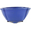 Oval blue bonsai pot by Shuhou - 170 x 170 x 80 mm