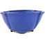 Ovaler blauer Bonsai-Topf von Shuhou - 170 x 170 x 80 mm
