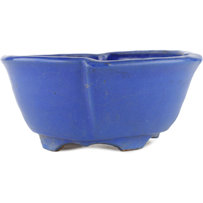 Ovale blauwe bonsaipot van Shuhou - 170 x 170 x 80 mm