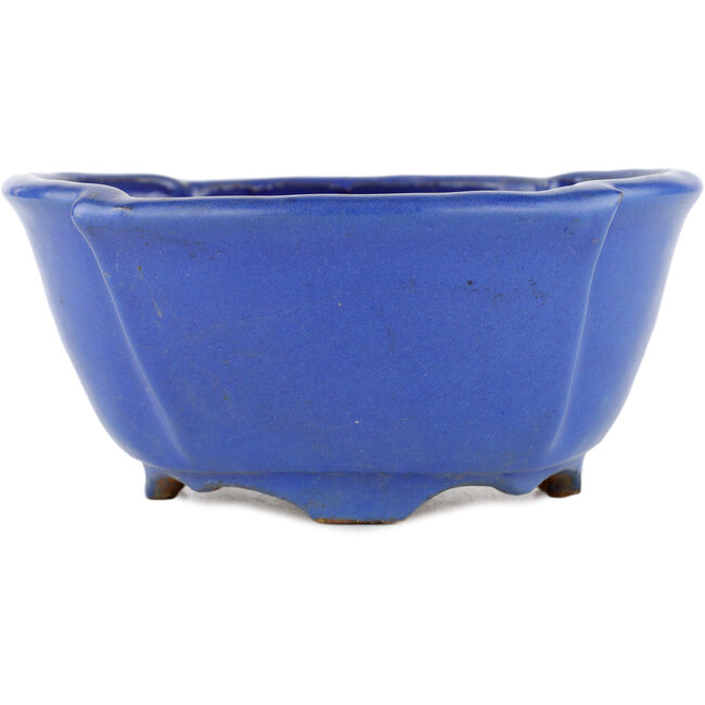 Ovale blauwe bonsaipot van Shuhou - 170 x 170 x 80 mm