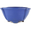 Oval blue bonsai pot by Shuhou - 170 x 170 x 80 mm
