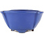 Ovaler blauer Bonsai-Topf von Shuhou - 170 x 170 x 80 mm