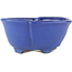 Ovaler blauer Bonsai-Topf von Shuhou - 170 x 170 x 80 mm