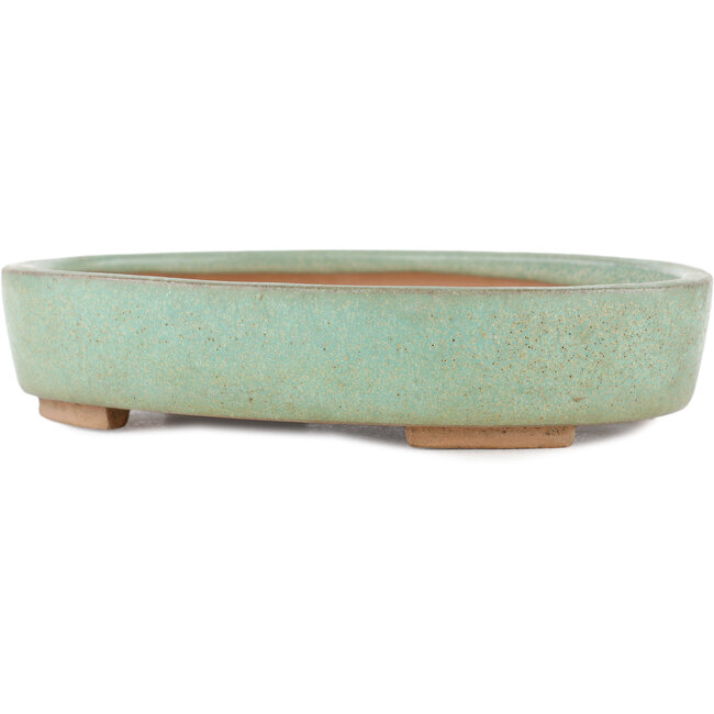 Pot à bonsaï ovale vert par Shinto - 170 x 130 x 35 mm