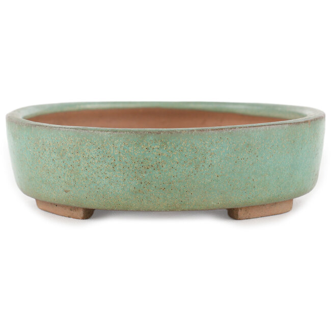 Ovale groene bonsaipot van Shinto - 170 x 130 x 35 mm