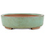 Pot à bonsaï ovale vert par Shinto - 170 x 130 x 35 mm