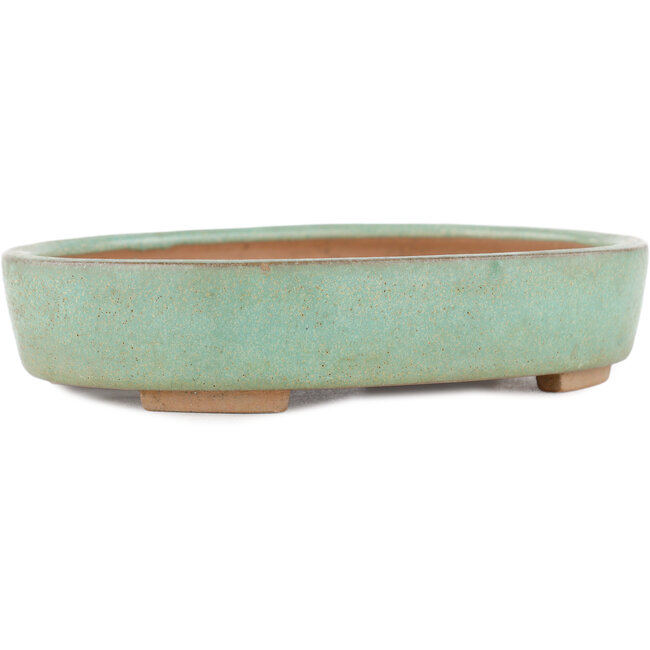Pot à bonsaï ovale vert par Shinto - 170 x 130 x 35 mm