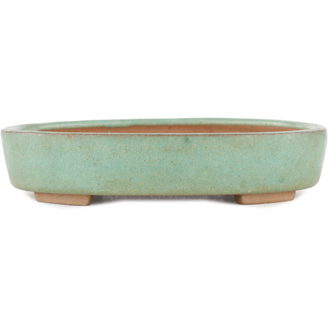 Pot à bonsaï ovale vert par Shinto - 170 x 130 x 35 mm