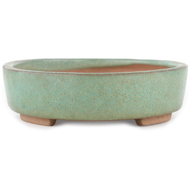 Ovale groene bonsaipot van Shinto - 170 x 130 x 35 mm