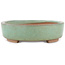 Pot à bonsaï ovale vert par Shinto - 170 x 130 x 35 mm