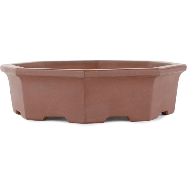 Sechseckiger unglasierter Bonsai-Topf von Shinto - 160 x 160 x 45 mm