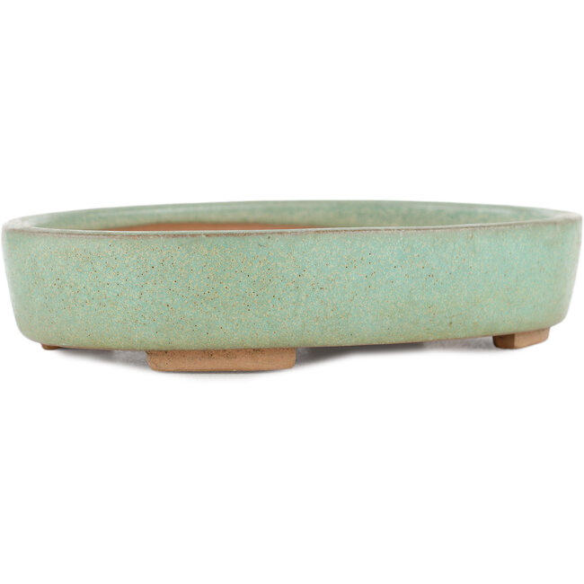 Ovale groene bonsaipot van Shinto - 170 x 130 x 35 mm