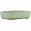 Pot à bonsaï ovale vert par Shinto - 170 x 130 x 35 mm