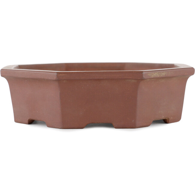 Zeshoekige ongeglazuurde bonsaipot van Shinto - 160 x 160 x 45 mm