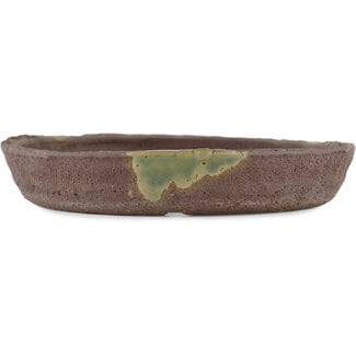 Ryugaku 185 mm  unglazed bonsai pot by Ryugaku, Tokoname, Japan