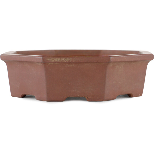 Vaso bonsai esagonale non smaltato di Shinto - 160 x 160 x 45 mm