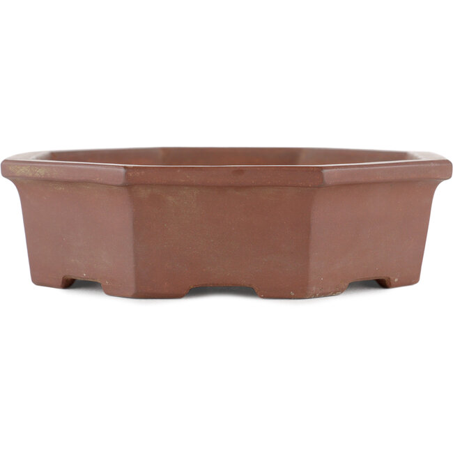 Hexagonal unglazed bonsai pot by Shinto - 160 x 160 x 45 mm