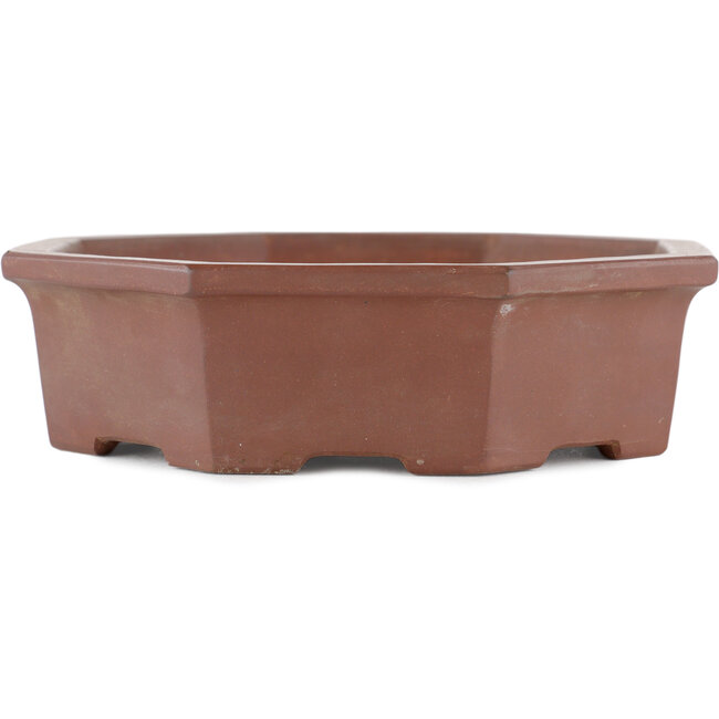 Maceta para bonsái hexagonal sin esmaltar de Shinto - 160 x 160 x 45 mm