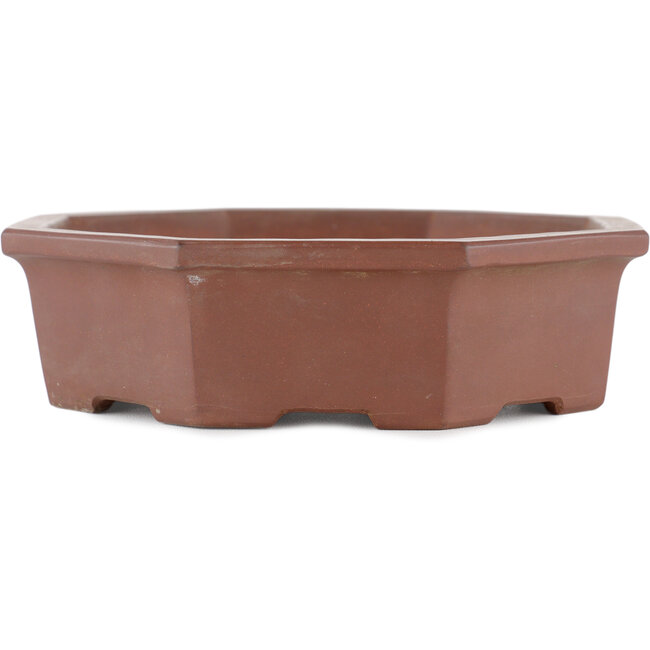 Sechseckiger unglasierter Bonsai-Topf von Shinto - 160 x 160 x 45 mm