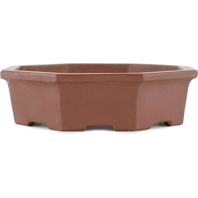 Maceta para bonsái hexagonal sin esmaltar de Shinto - 160 x 160 x 45 mm