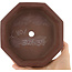 Maceta para bonsái hexagonal sin esmaltar de Shinto - 160 x 160 x 45 mm
