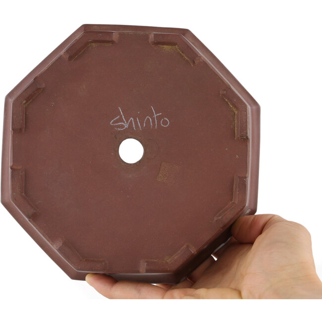 Vaso bonsai esagonale non smaltato di Shinto - 160 x 160 x 45 mm