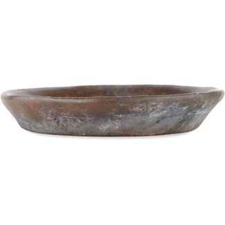  Bunzan Pot à bonsaï non émaillé de 170 mm par Bunzan, Tokoname, Japon