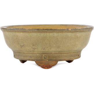 Ikkou - Watanabe Kazuhiro æ¸¡è¾ºä¸€å¼˜ 130 mm  beige bonsai pot by Ikkou, Tokoname, Japan