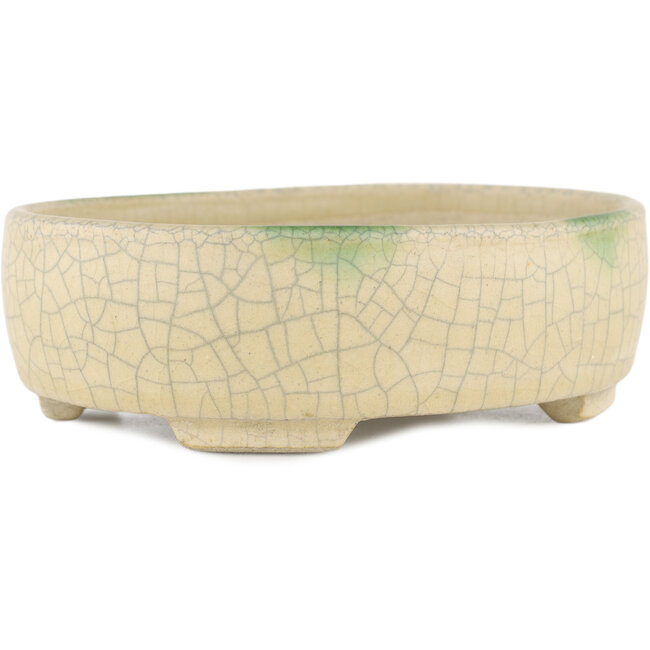 Maceta ovalada para bonsái beige de Terahata Satomi Mazan - 160 x 130 x 50 mm