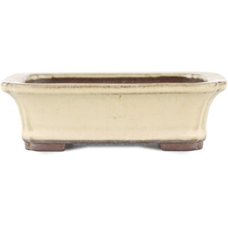 Yamaaki 155 mm  beige bonsai pot by Yamaaki, Tokoname, Japan