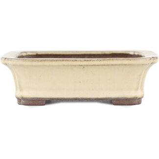  Yamaaki Vaso bonsai beige da 155 mm di Yamaaki, Tokoname, Giappone