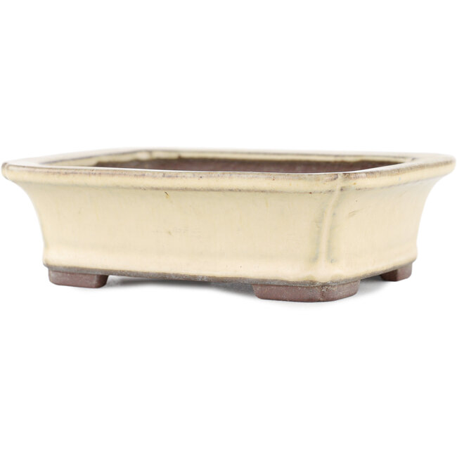 Maceta rectangular para bonsái beige de Yamaaki - 155 x 120 x 50 mm