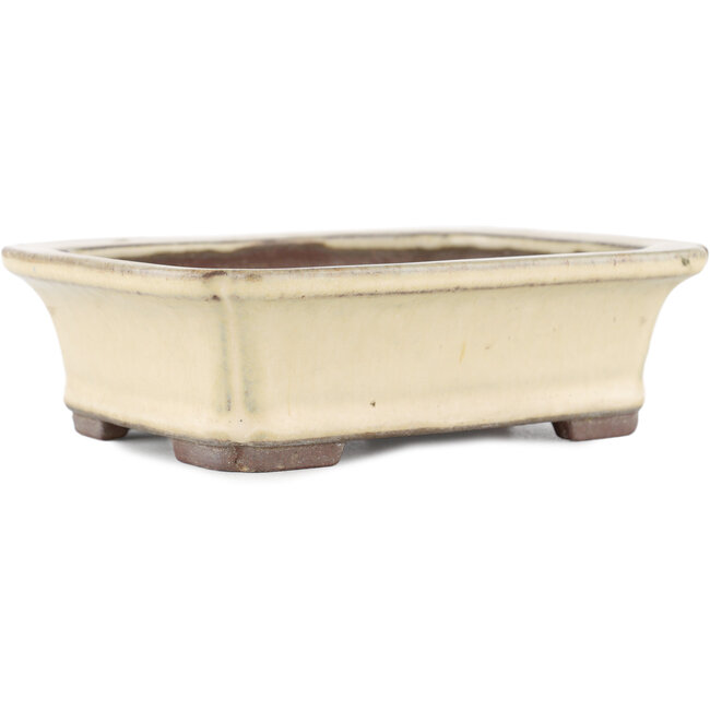 Pot à bonsaï rectangulaire beige par Yamaaki - 155 x 120 x 50 mm