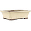 Maceta rectangular para bonsái beige de Yamaaki - 155 x 120 x 50 mm