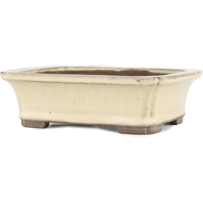 Rectangular beige bonsai pot by Yamaaki - 155 x 120 x 50 mm