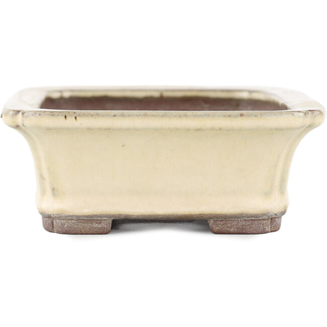 Maceta rectangular para bonsái beige de Yamaaki - 155 x 120 x 50 mm