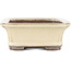 Rectangular beige bonsai pot by Yamaaki - 155 x 120 x 50 mm