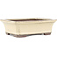 Pot à bonsaï rectangulaire beige par Yamaaki - 155 x 120 x 50 mm