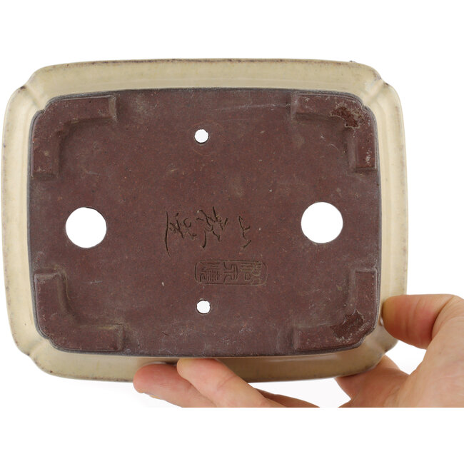 Pot à bonsaï rectangulaire beige par Yamaaki - 155 x 120 x 50 mm