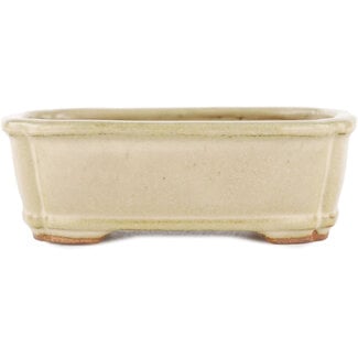 Hattori Tomoyuki 125 mm  beige bonsai pot by Hattori, Tokoname, Japan