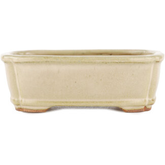  Hattori Tomoyuki Beige bonsaipot van 125 mm van Hattori, Tokoname, Japan