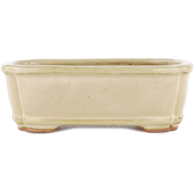 Vaso bonsai rettangolare beige di Hattori - 125 x 95 x 40 mm
