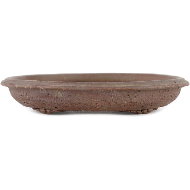 Vaso bonsai ovale non smaltato - 120 x 110 x 20 mm