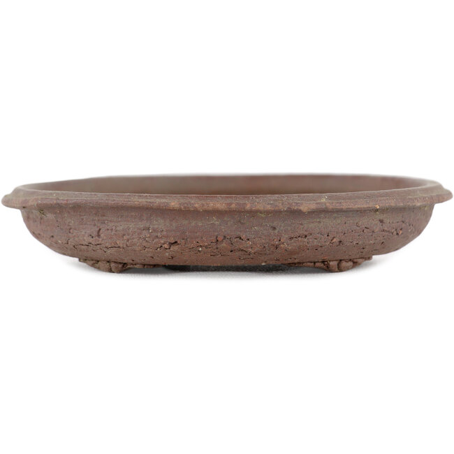 Vaso bonsai ovale non smaltato - 120 x 110 x 20 mm